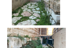 Progetto senza titolo - 1