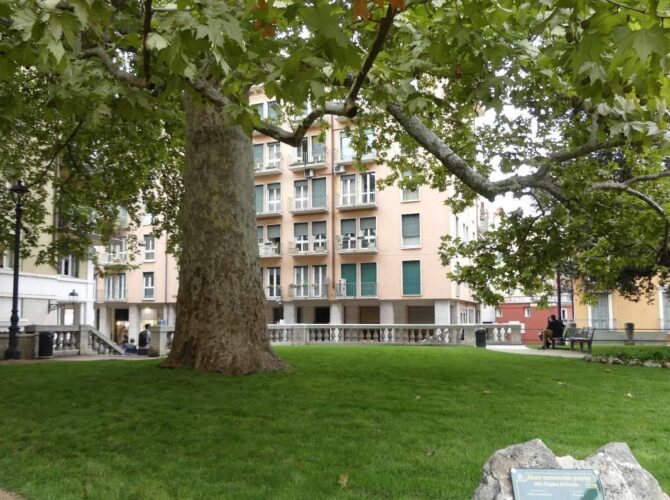 Intervista a Alessandra Gruppo del Verde