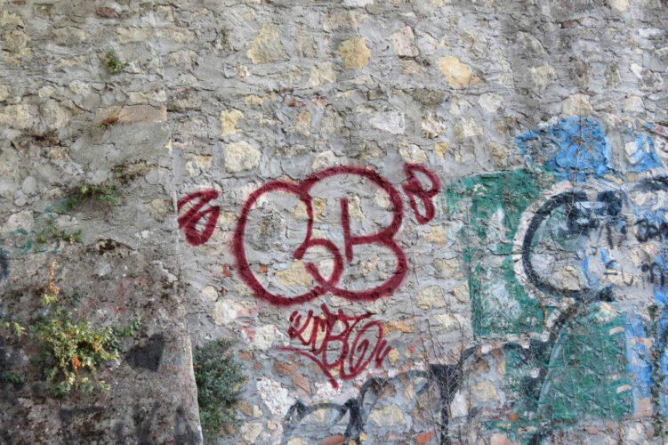 Intervista a Mauro Responsabile del gruppo “Secio e Penel”